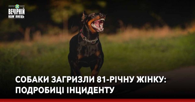 Собаки загризли 81-річну жінку: подробиці інциденту