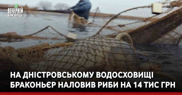 На Дністровському водосховищі браконьєр наловив риби на 14 тис грн