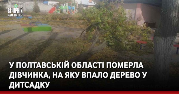 У Полтавській області померла дівчинка, на яку впало дерево у дитсадку