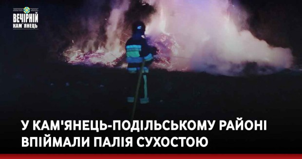 У Кам'янець-Подільському районі впіймали палія сухостою