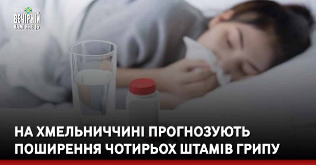 На Хмельниччині прогнозують поширення чотирьох штамів грипу