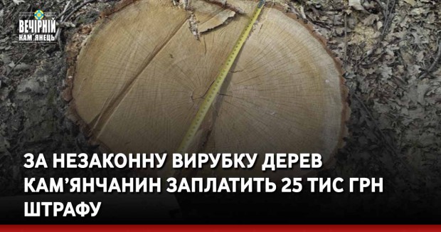 За незаконну вирубку дерев кам’янчанин заплатить 25 тис грн штрафу
