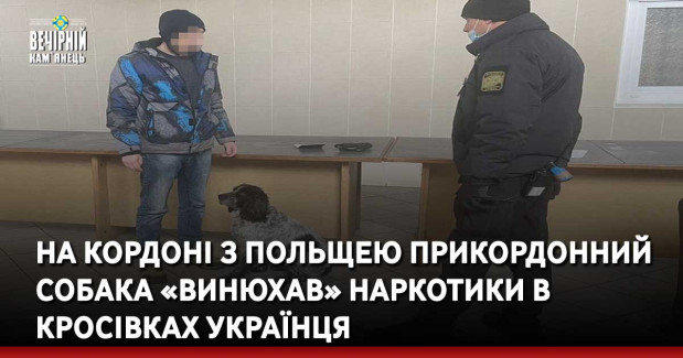 На кордоні з Польщею прикордонний собака «винюхав»&nbsp;наркотики в кросівках українця