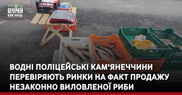 Водні поліцейські Кам'янеччини перевіряють ринки на факт продажу незаконно виловленої риби