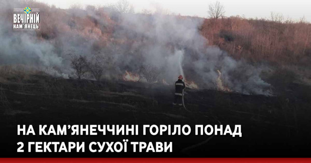 На Кам’янеччині горіло понад 2 гектари сухої трави