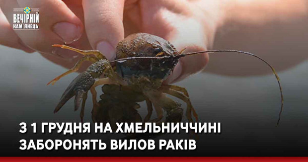З 1 грудня На Хмельниччині заборонять вилов раків