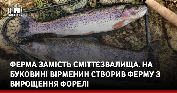Ферма замість сміттєзвалища. На Буковині вірменин створив ферму з вирощення форелі