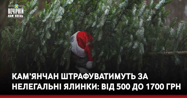 Кам’янчан штрафуватимуть за нелегальні ялинки: від 500 до 1700 грн