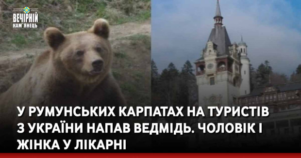 У румунських Карпатах на туристів з України напав ведмідь. Чоловік і жінка у лікарні