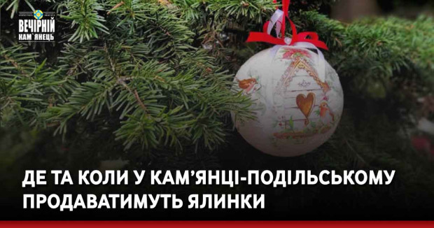 Де та коли у Кам’янці-Подільському продаватимуть ялинки