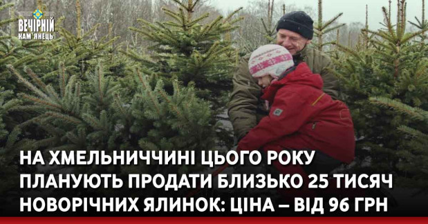 На Хмельниччині цього року планують продати близько 25 тисяч новорічних ялинок: ціна – від 96 грн