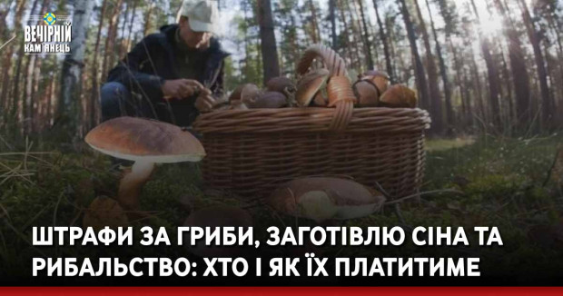 Штрафи за гриби, заготівлю сіна та рибальство: хто і як їх платитиме