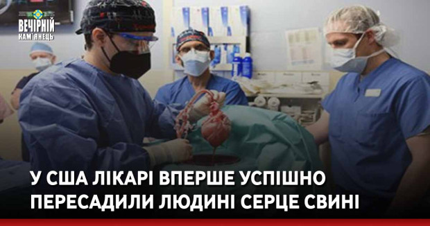 У США лікарі вперше успішно пересадили людині серце свині