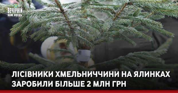 Лісівники Хмельниччини на ялинках заробили більше 2 млн грн