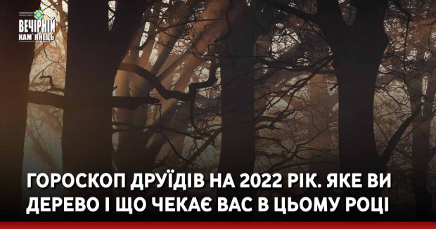 Гороскоп друїдів на 2022 рік. Яке ви дерево і що чекає вас в цьому році