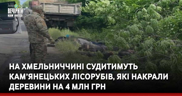Вечірній Кам'янець, новини Кам'янеччини, дерева, лісоруби, прокуратура, розкрадання