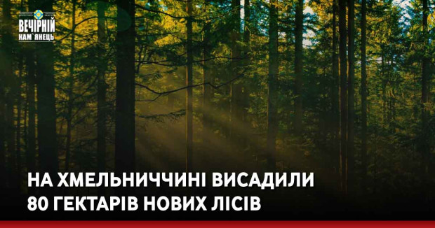 На Хмельниччині висадили 80 гектарів нових лісів