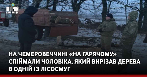 На Чемеровеччині «на гарячому» спіймали чоловіка, який вирізав дерева в одній із лісосмуг
