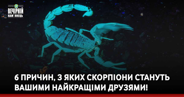 6 причин, з яких Скорпіони стануть вашими найкращіми друзями!