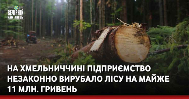 На Хмельниччині підприємство незаконно вирубало лісу на майже 11 млн. гривень