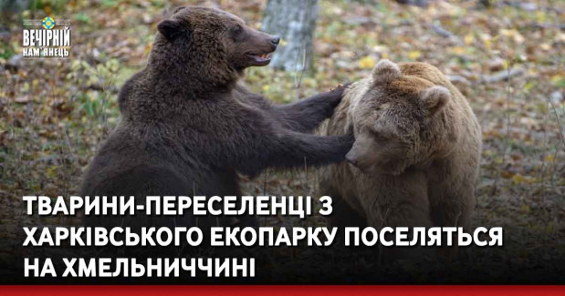 Тварини-переселенці з харківського екопарку поселяться на Хмельниччині