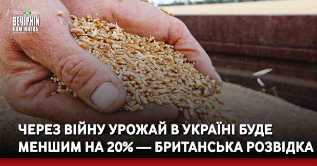Через війну Урожай в Україні буде меншим на 20% — британська розвідка