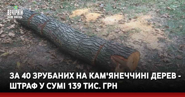 За 40 зрубаних на Кам'янеччині дерев - штраф у сумі 139 тис. грн