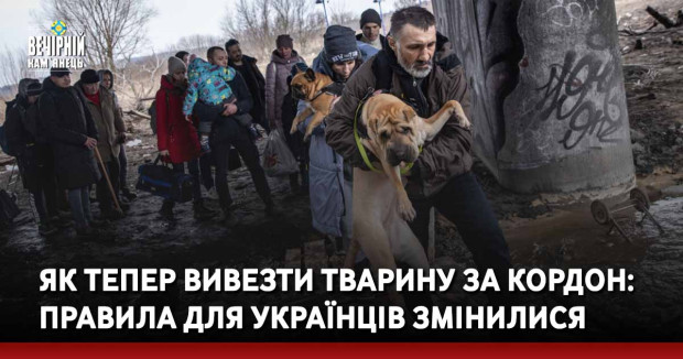 Як тепер вивезти тварину за кордон: правила для українців змінилися