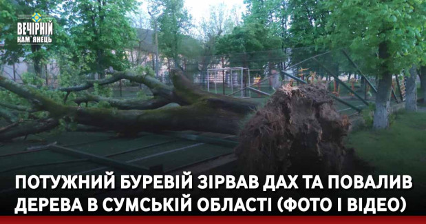 Потужний буревій зірвав дах та повалив дерева в Сумській області (фото і відео)