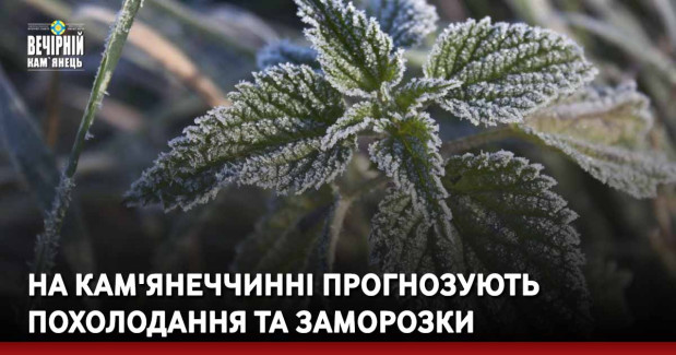На Кам'янеччинні прогнозують похолодання та заморозки