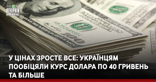 У цінах зросте все: українцям пообіцяли курс долара по 40 гривень та більше