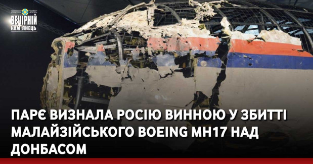 ПАРЄ визнала Росію винною у збитті малайзійського Boeing MH17 над Донбасом