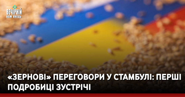 «Зернові» переговори у Стамбулі: перші подробиці зустрічі