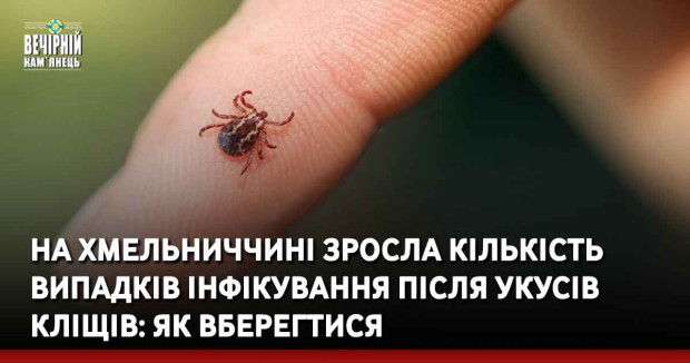 На Хмельниччині зросла кількість випадків інфікування після укусів кліщів: як вберегтися