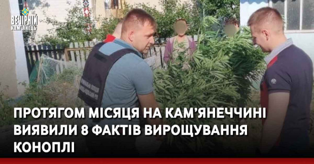 Протягом місяця на Кам’янеччині виявили 8 фактів вирощування коноплі