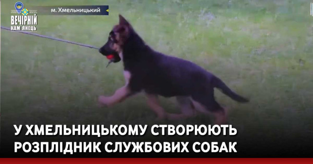 У Хмельницькому створюють розплідник службових собак