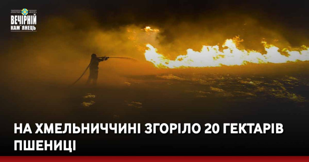 На Хмельниччині згоріло 20 гектарів пшениці
