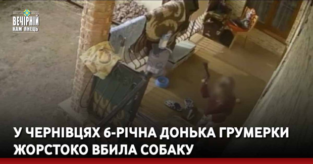 У Чернівцях 6-річна донька грумерки жорстоко вбила собаку