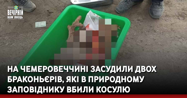 На Чемеровеччині засудили двох браконьєрів, які в природному заповіднику вбили косулю