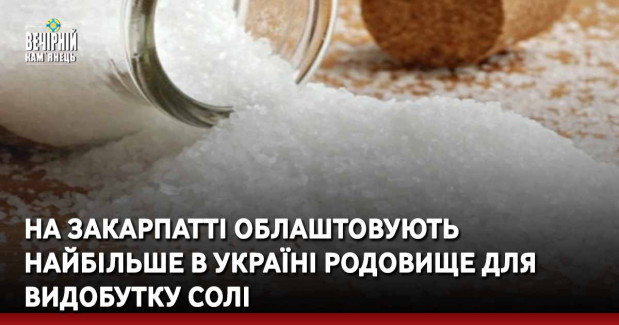 На Закарпатті облаштовують найбільше в Україні родовище для видобутку солі