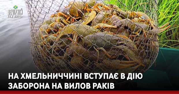 На Хмельниччині вступає в дію заборона на вилов раків