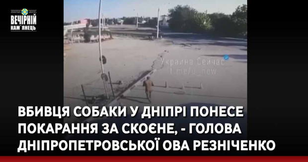 Вбивця собаки у Дніпрі понесе покарання за скоєне, - голова Дніпропетровської ОВА Резніченко