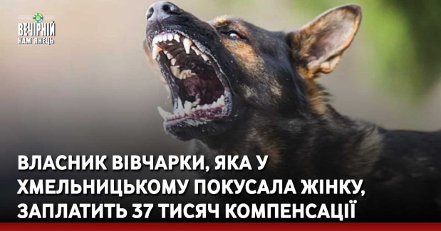 Власник вівчарки, яка у Хмельницькому покусала жінку, заплатить 37 тисяч компенсації