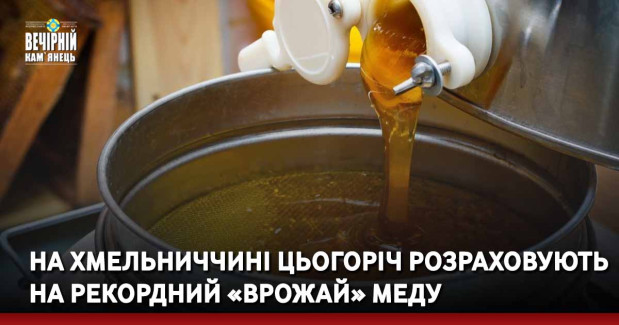 На Хмельниччині цьогоріч розраховують на рекордний «врожай» меду