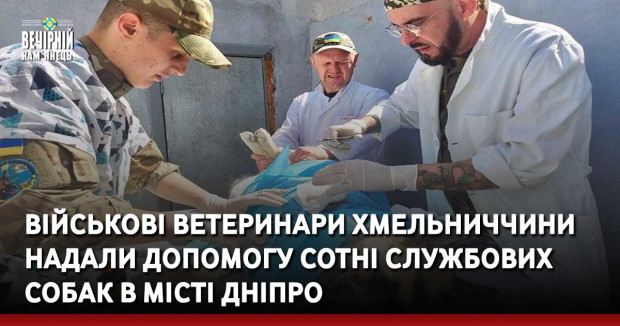 Військові ветеринари Хмельниччини надали допомогу сотні службових собак в місті Дніпро
