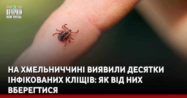 На Хмельниччині виявили десятки інфікованих кліщів: як від них вберегтися