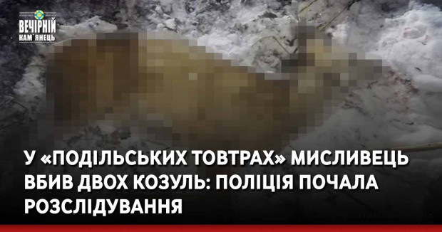 У «Подільських Товтрах» мисливець вбив двох козуль: поліція почала розслідування