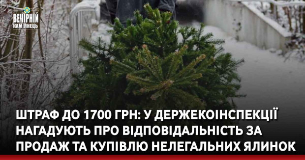 Штраф до 1700 грн: У Держекоінспекції нагадують про відповідальність за продаж та купівлю нелегальних ялинок