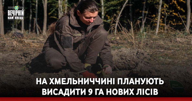 На Хмельниччині планують висадити 9 га нових лісів