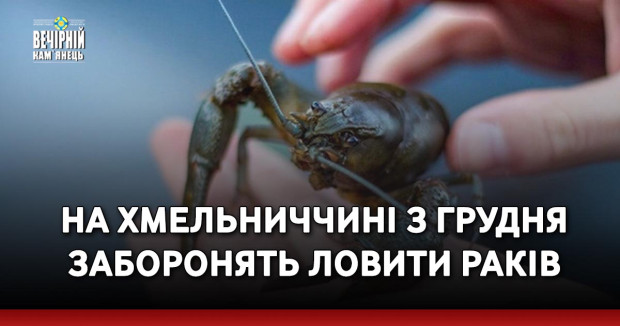 На Хмельниччині з грудня заборонять ловити раків